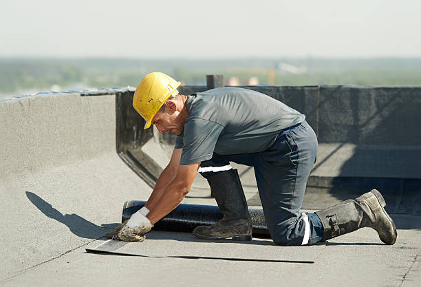 Best Geographic-Specific Insulation Services in Friday Harbor, WA